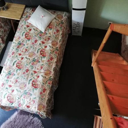 Ferienwohnung Holl 沃尔姆斯 外观 照片
